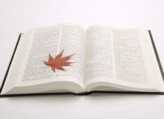 图卢兹球员力拼胜利，实力超群