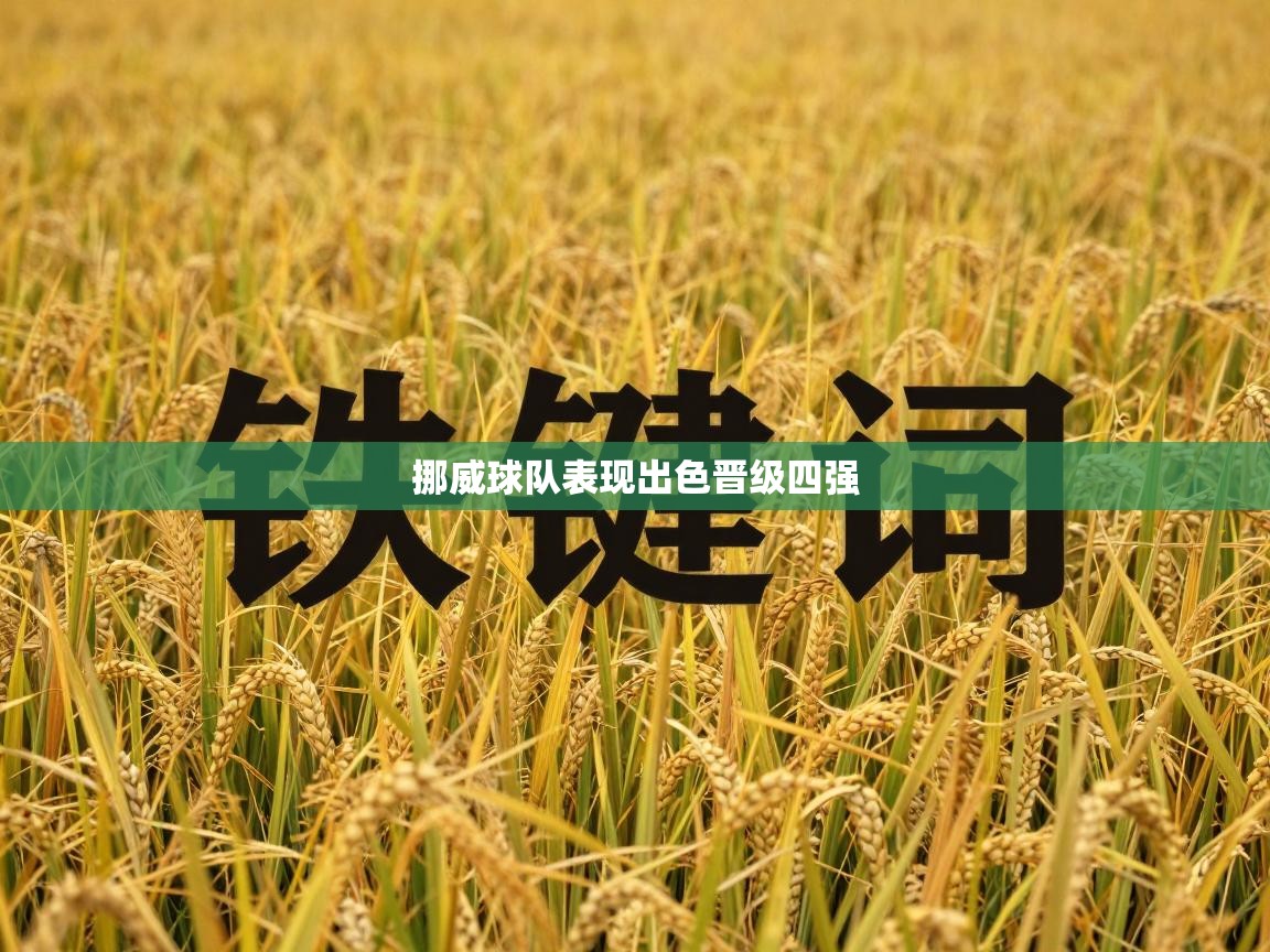 挪威球队表现出色晋级四强  第1张