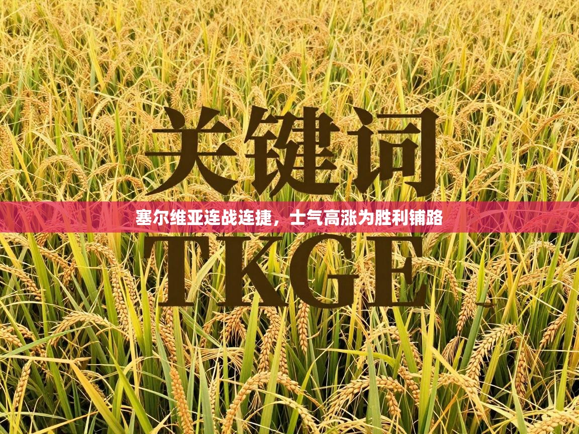 塞尔维亚连战连捷，士气高涨为胜利铺路  第2张