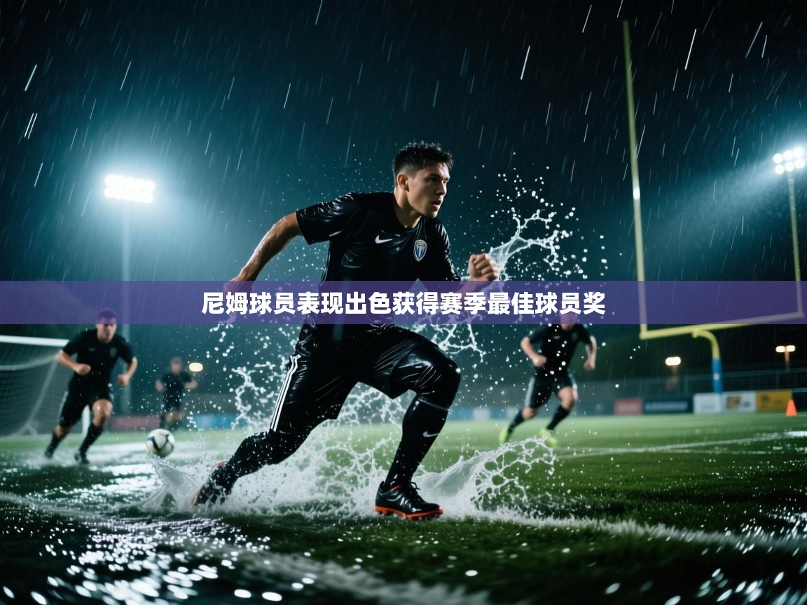 尼姆球员表现出色获得赛季最佳球员奖  第2张