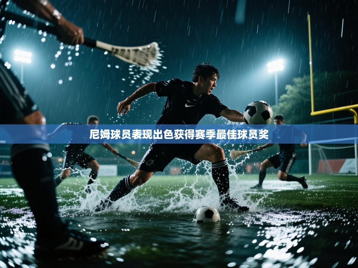 尼姆球员表现出色获得赛季最佳球员奖  第1张